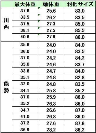 蛹体重とサイズ: オオクワおっさんの星